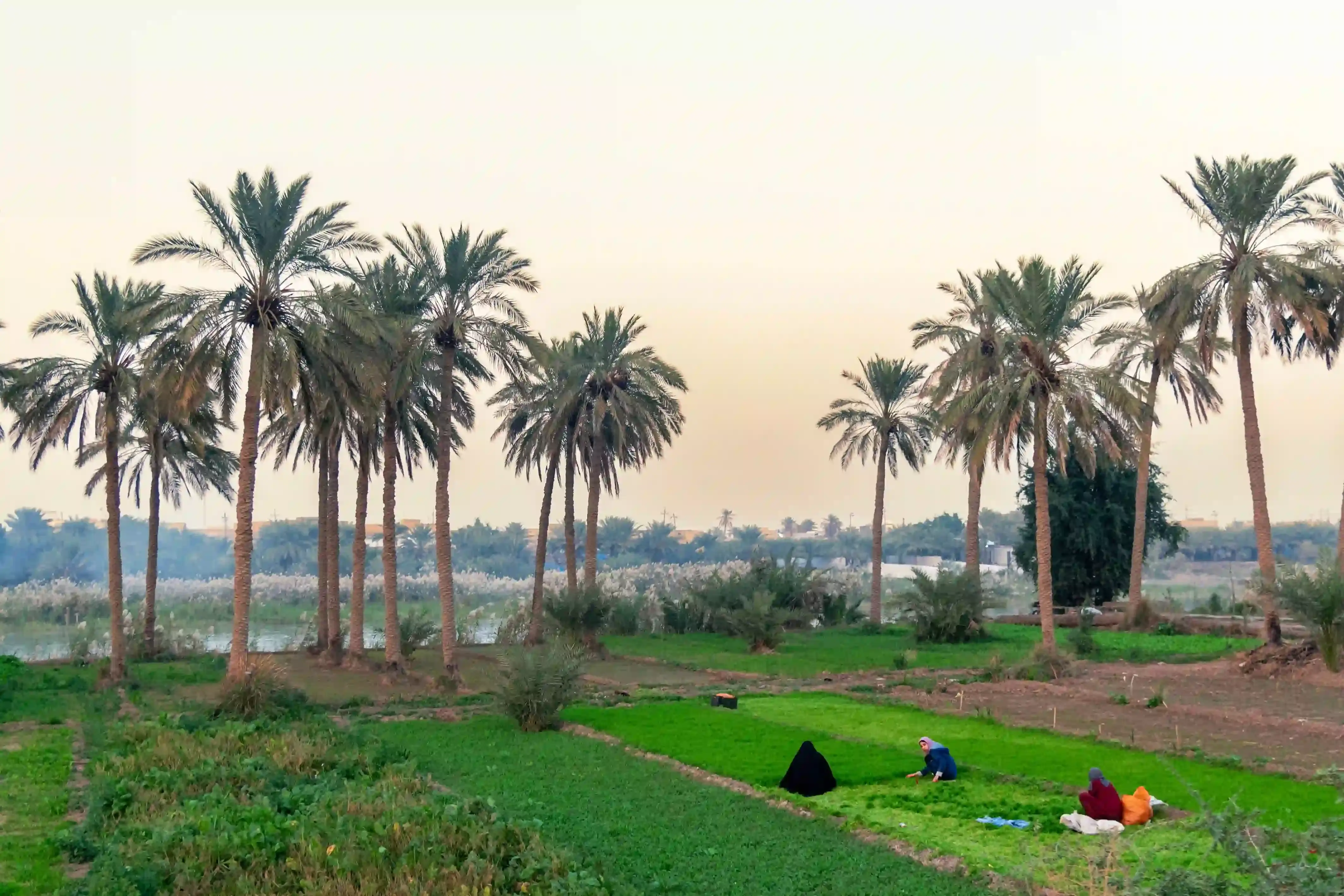 courtesy of Abbas Raad Jakra (image 5 of 10)