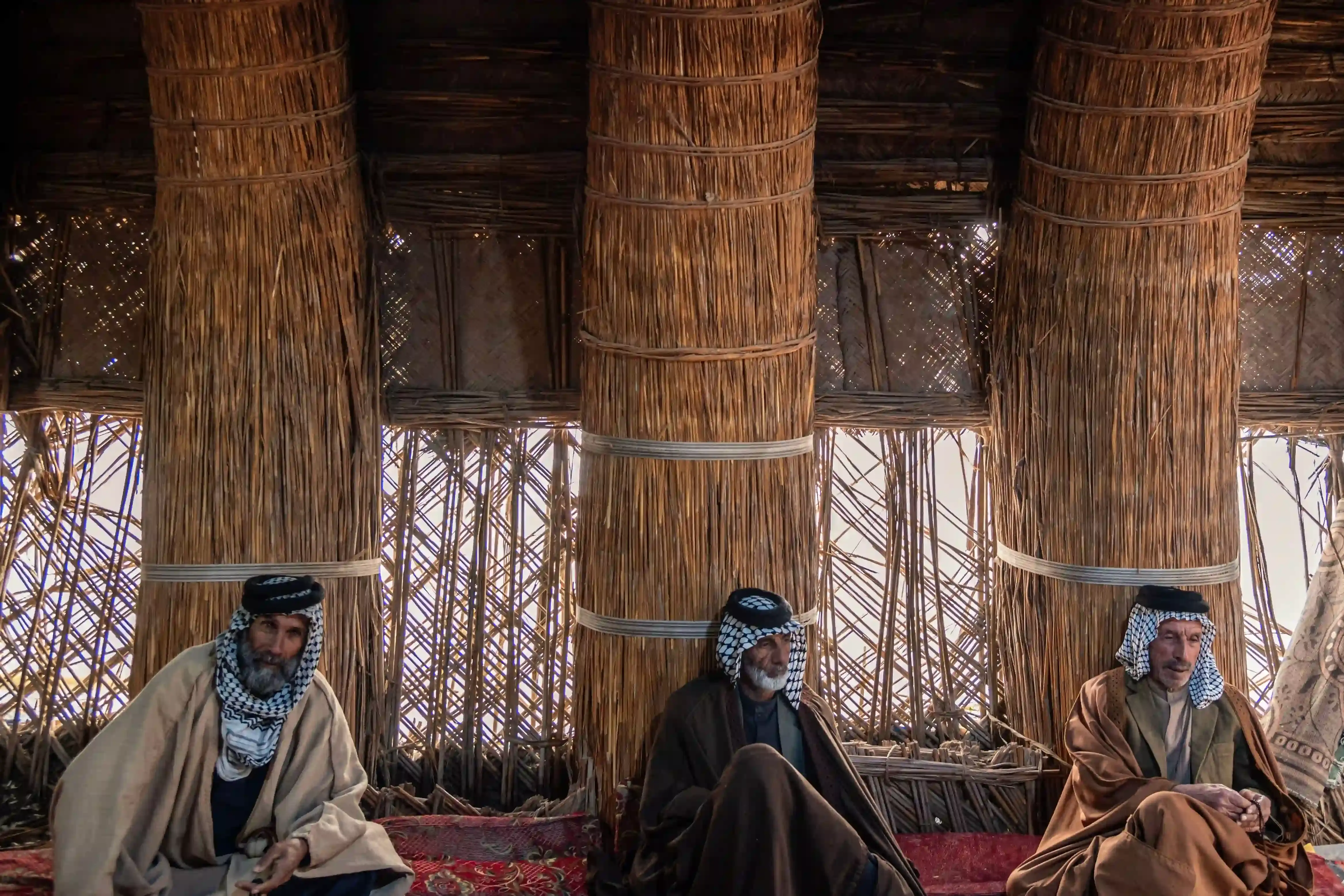 courtesy of Abbas Raad Jakra (image 4 of 10)