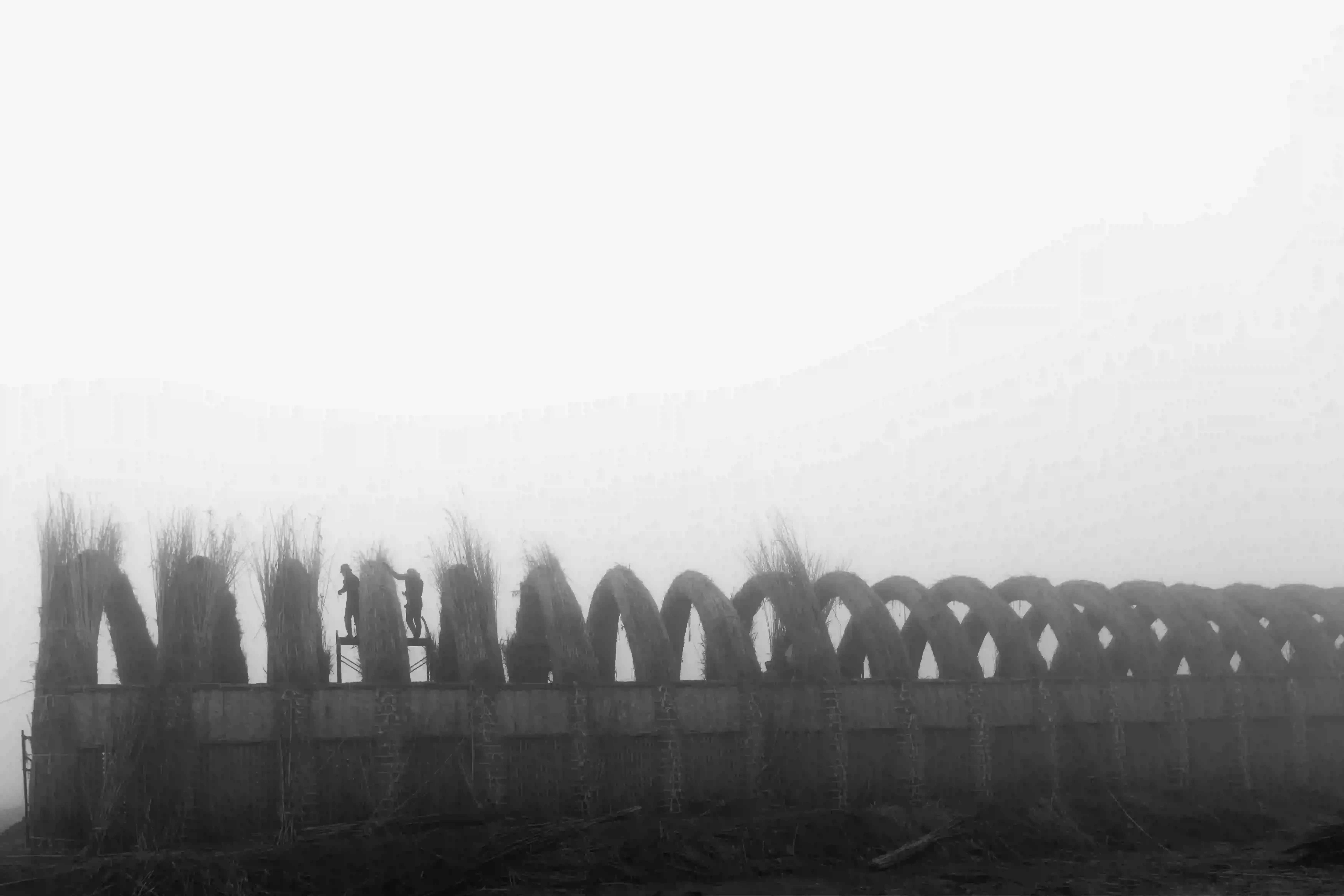 courtesy of Abbas Raad Jakra (image 9 of 10)