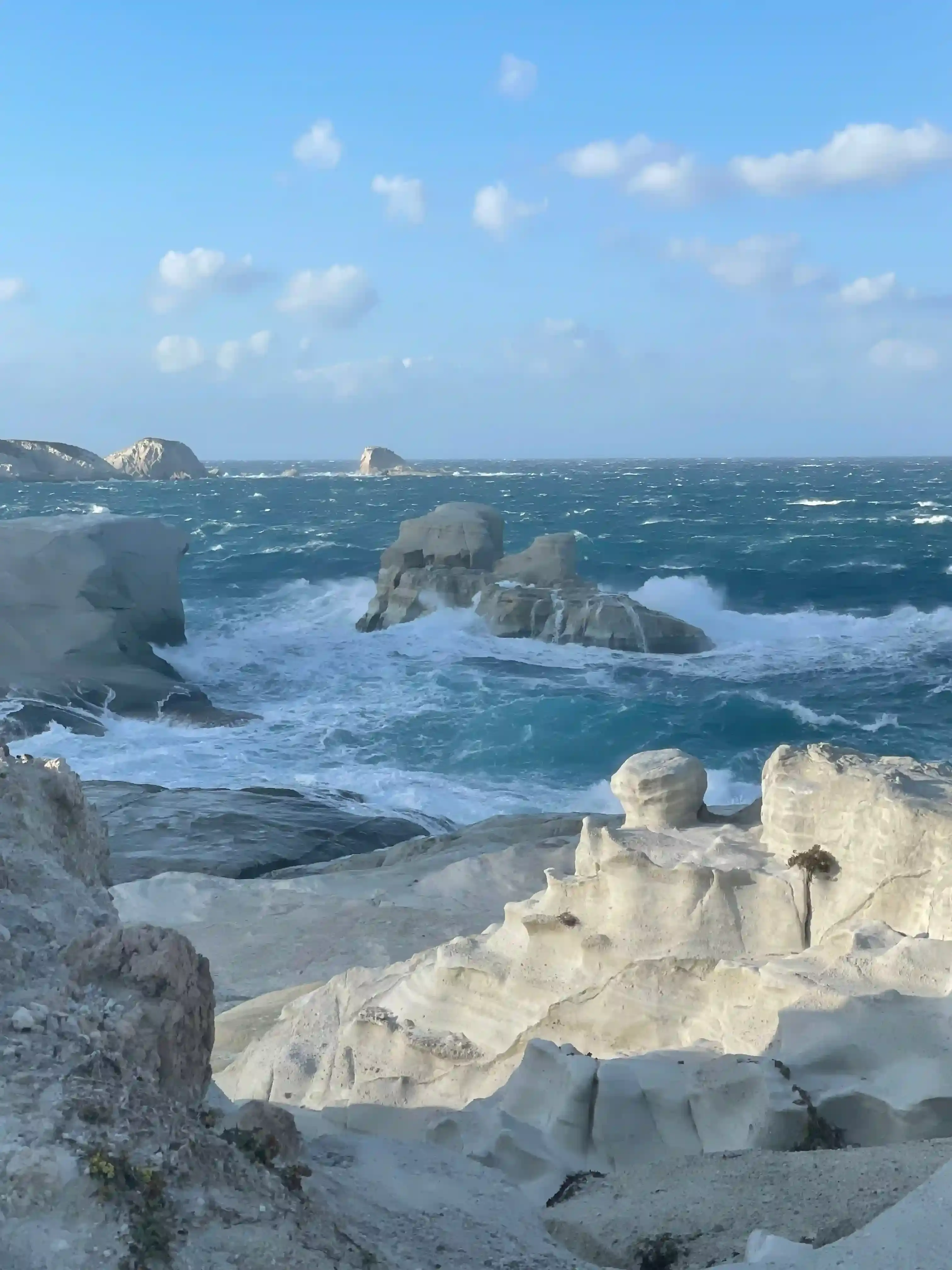Courtesey of Anastasia Pilepchuk (image 8 of 8)
