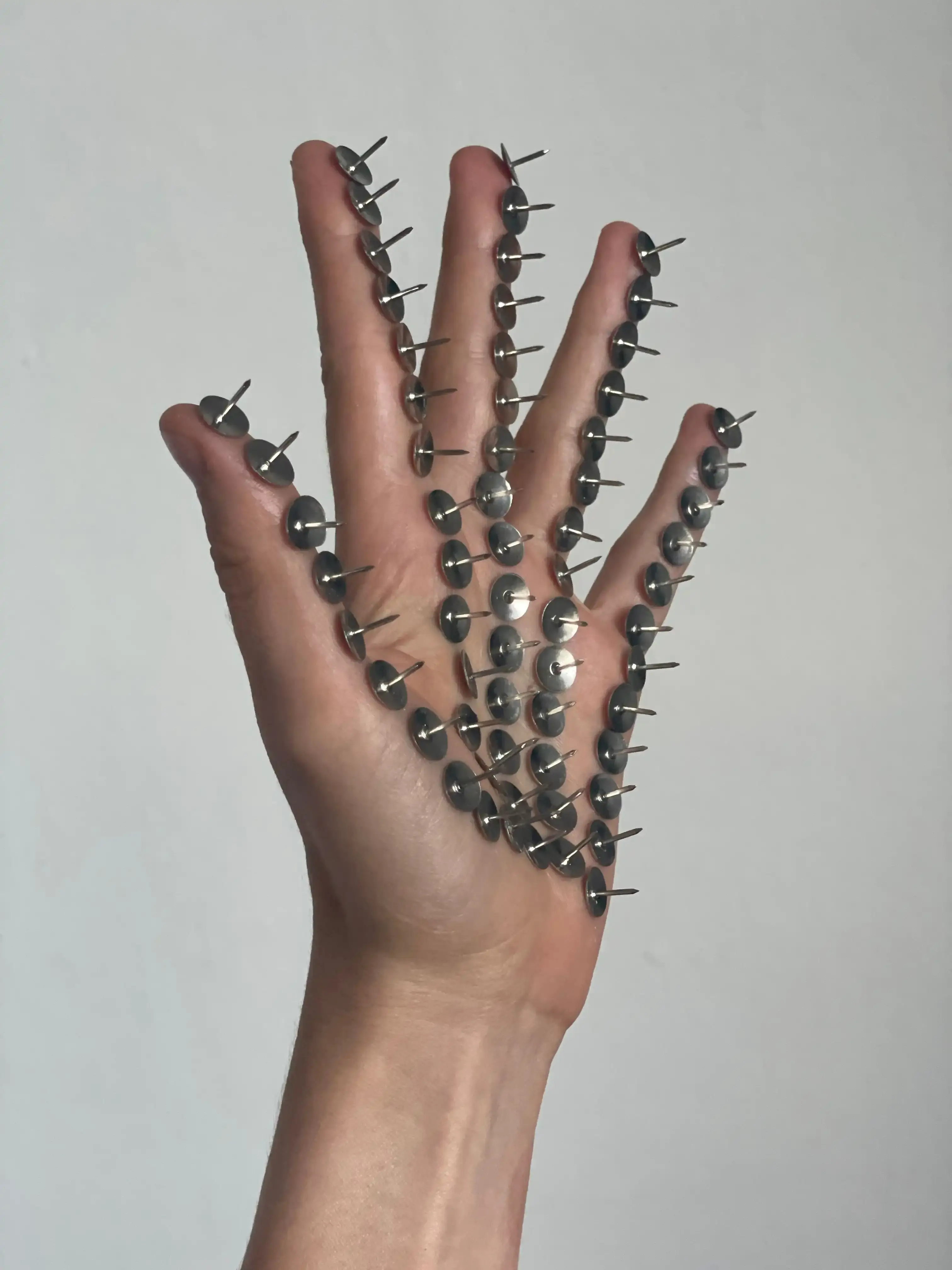 Courtesey of Anastasia Pilepchuk (image 7 of 8)